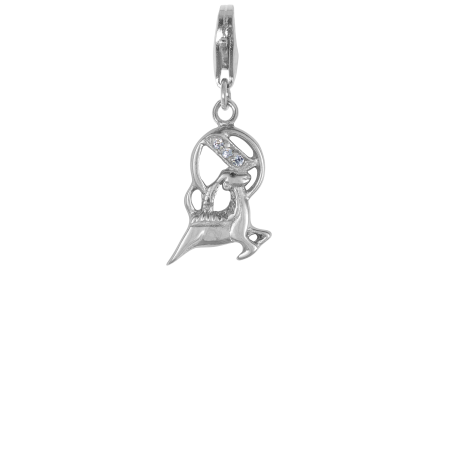 CHARM PENDANT - CAPRICORN HOROSCOPE