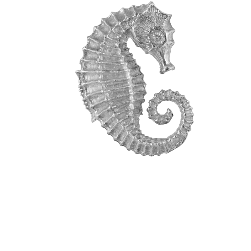 Seahorse 925 sterling silver pendant