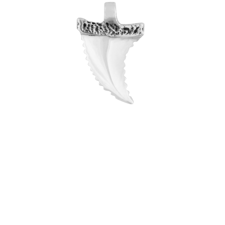 PENDANT - SHARK TOOTH