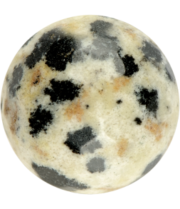 DALMATIAN JASPER