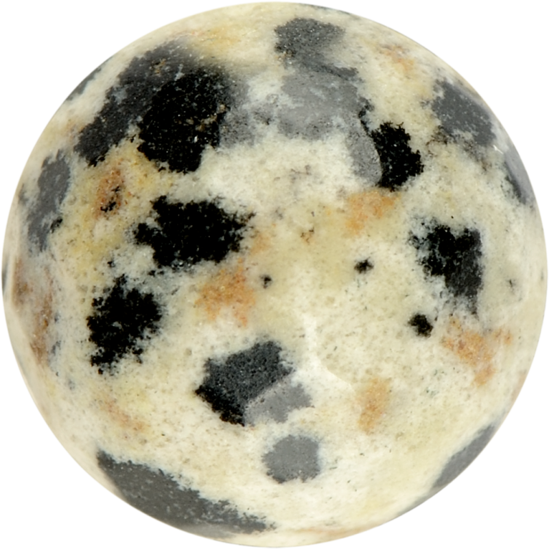DALMATIAN JASPER
