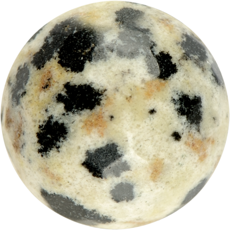 DALMATIAN JASPER