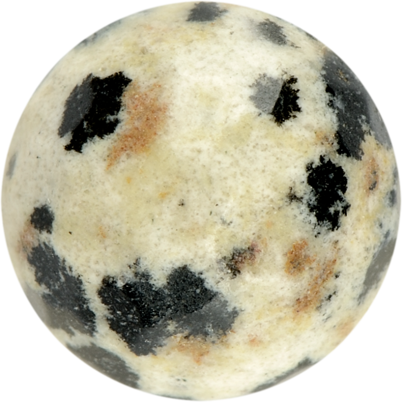 DALMATIAN JASPER