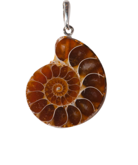 PENDANT - AMMONITES