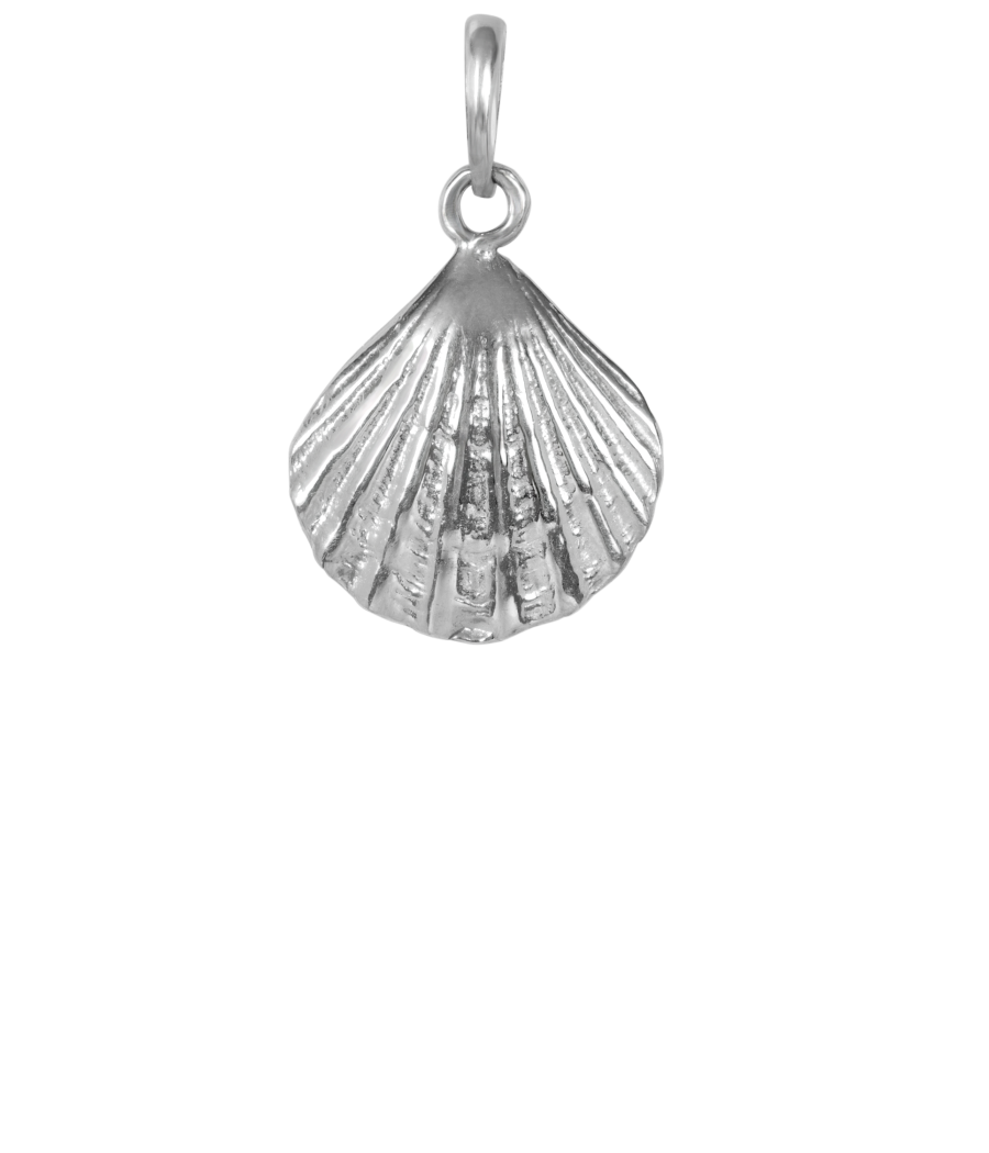 Scallop shell 925 sterling silver pendant